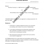 Employment Agreement Sample