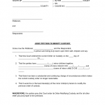 Child Custody Agreement Form