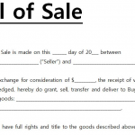 Bill Of Sell Form