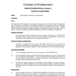 Contract For Employment Template