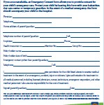Emergency Medical Consent Form 