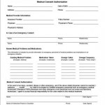Emergency Medical Consent Form 