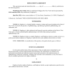 Employment Contract Agreement Sample