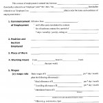 Employment Contract Form