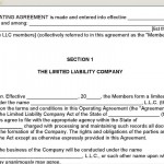 Example Llc Operating Agreement