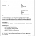Irs Audit Letter Example 