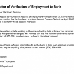 Letter Of Verification Of Employment 