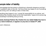 Liability Disclaimer Examples