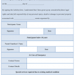 Liability Form Template 