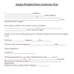 Power Of Attorney Sample 
