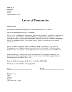 Simple Termination Of Employment Contract Letter Template
